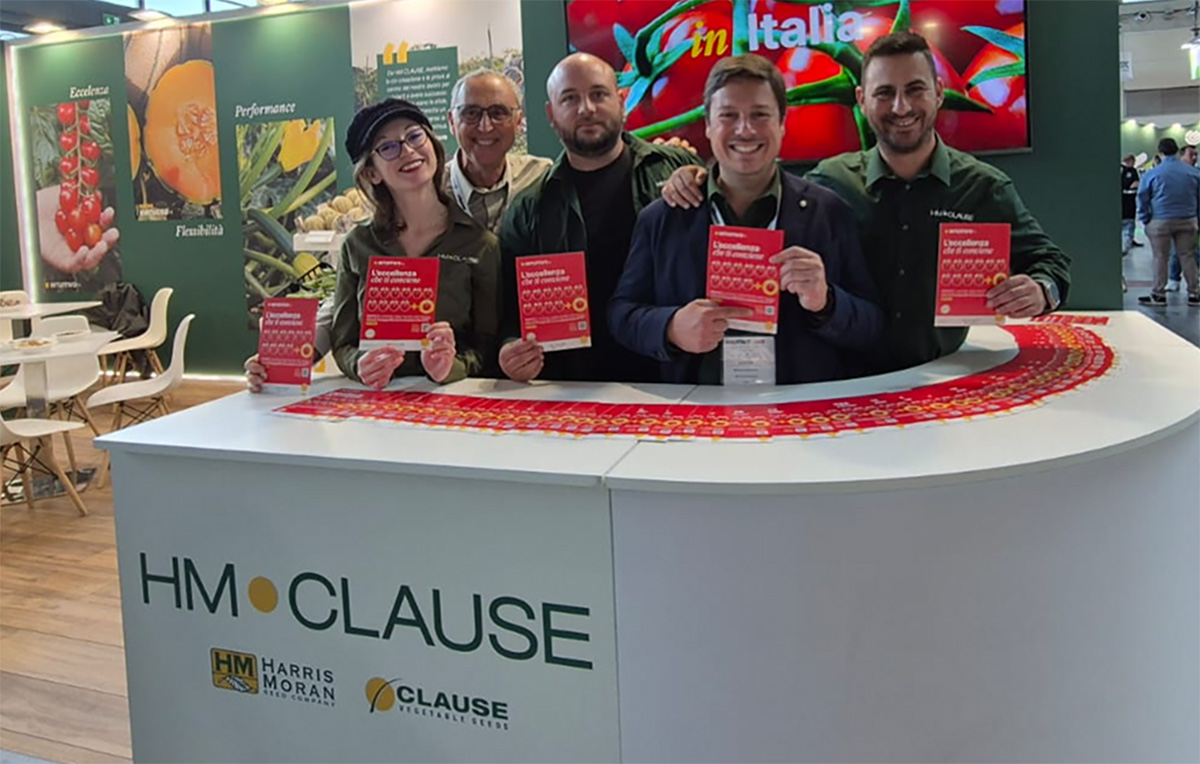 Team HM.Clause